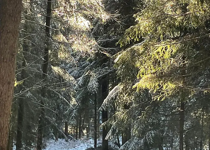 Am Brunnen Und An Der Fulda Gersfeld