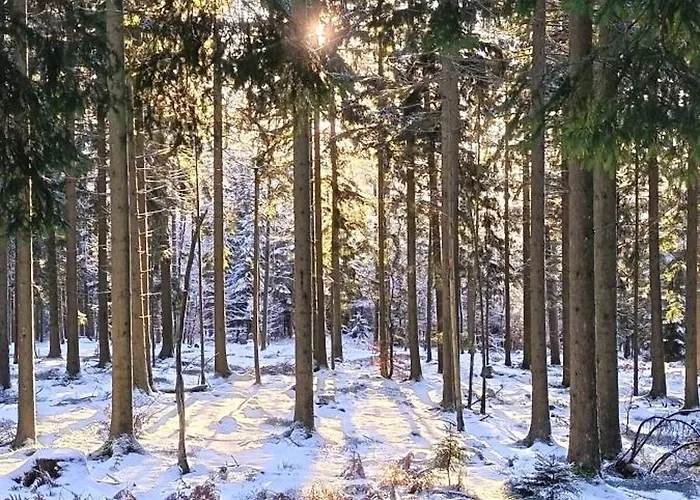 Apartamento Am Brunnen Und An Der Fulda Gersfeld